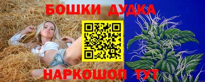 молекула духа Гуково