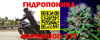 молекула духа Гуково
